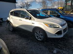 2015 Ford Escape Titanium White vin: 1FMCU0J9XFUA83741