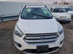 2017 Ford Escape Titanium White vin: 1FMCU0JD0HUB43291