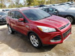 2015 Ford Escape Titanium Red vin: 1FMCU0JX1FUB29987