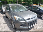 2014 Ford Escape Titanium Серый vin: 1FMCU0JX2EUA57096