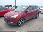 2015 Ford Escape Titanium Red vin: 1FMCU0JX2FUB61542