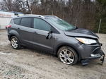 2015 Ford Escape Titanium Gray vin: 1FMCU0JX2FUB70001