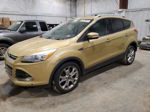 2014 Ford Escape Titanium Золотой vin: 1FMCU0JX3EUD30725