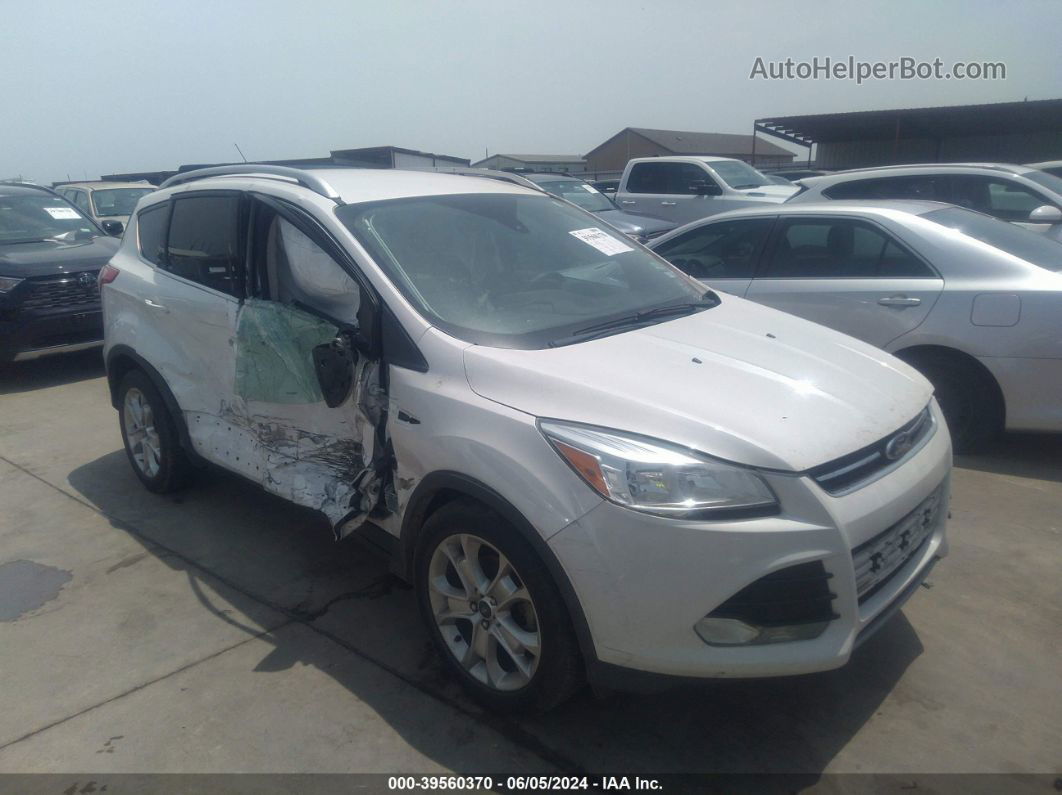 2016 Ford Escape Titanium White vin: 1FMCU0JX3GUB96849