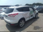 2016 Ford Escape Titanium White vin: 1FMCU0JX3GUB96849