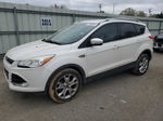 2014 Ford Escape Titanium Белый vin: 1FMCU0JX4EUB28685