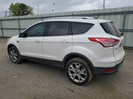 2014 Ford Escape Titanium White vin: 1FMCU0JX4EUB28685