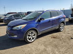 2014 Ford Escape Titanium Blue vin: 1FMCU0JX4EUB54087