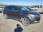 2016 Ford Escape Titanium Gray vin: 1FMCU0JX4GUB13784