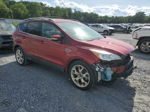 2015 Ford Escape Titanium Red vin: 1FMCU0JX5FUB87892