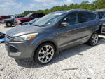 2014 Ford Escape Titanium Угольный vin: 1FMCU0JX6EUD57823