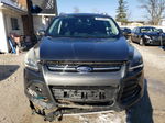 2014 Ford Escape Titanium Серый vin: 1FMCU0JX6EUE36022