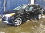 2014 Ford Escape Titanium Black vin: 1FMCU0JX7EUA43971