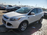 2014 Ford Escape Titanium White vin: 1FMCU0JX7EUB43178