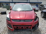 2014 Ford Escape Titanium Red vin: 1FMCU0JX7EUB78464