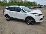 2014 Ford Escape Titanium White vin: 1FMCU0JX8EUB59731