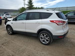 2014 Ford Escape Titanium Белый vin: 1FMCU0JX8EUB59731