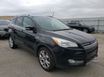 2014 Ford Escape Titanium Black vin: 1FMCU0JX9EUB40086