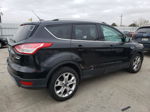 2014 Ford Escape Titanium Black vin: 1FMCU0JX9EUB40086