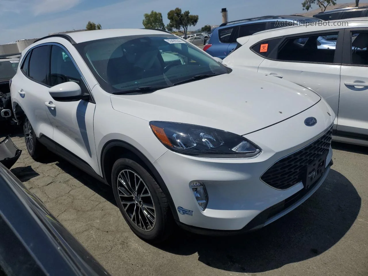 2021 Ford Escape Sel White vin: 1FMCU0KZ3MUB22715