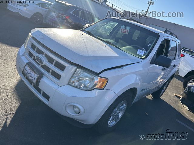 2009 Ford Escape Hybrid White vin: 1FMCU49309KA89412