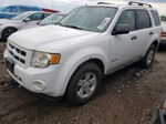 2009 Ford Escape Hybrid White vin: 1FMCU49329KC39648