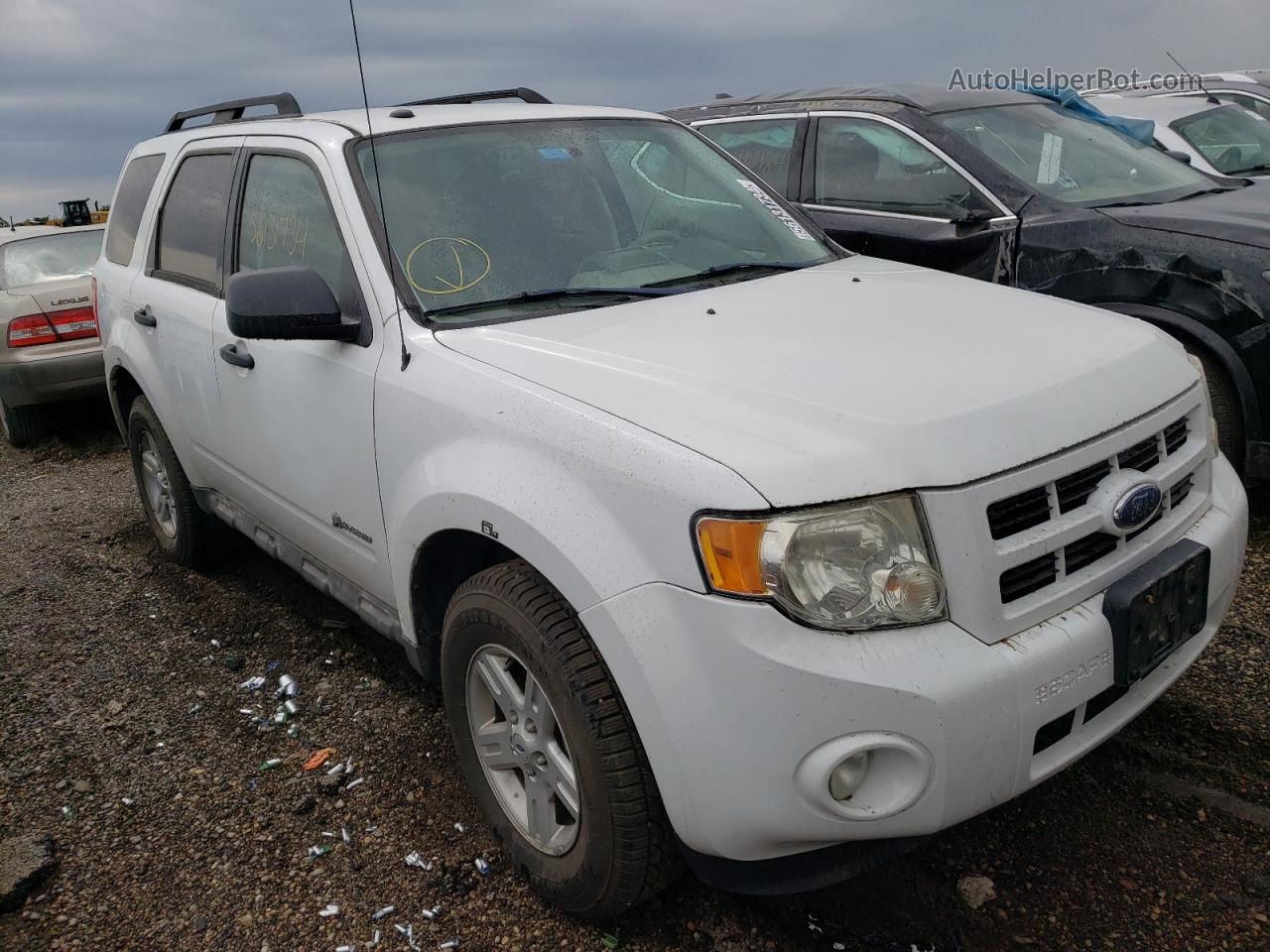 2009 Ford Escape Hybrid White vin: 1FMCU49329KC39648