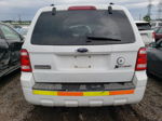 2009 Ford Escape Hybrid White vin: 1FMCU49329KC39648