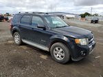 2009 Ford Escape Hybrid Black vin: 1FMCU49339KA22576