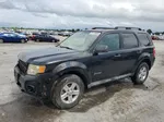 2009 Ford Escape Hybrid Black vin: 1FMCU49339KD02305