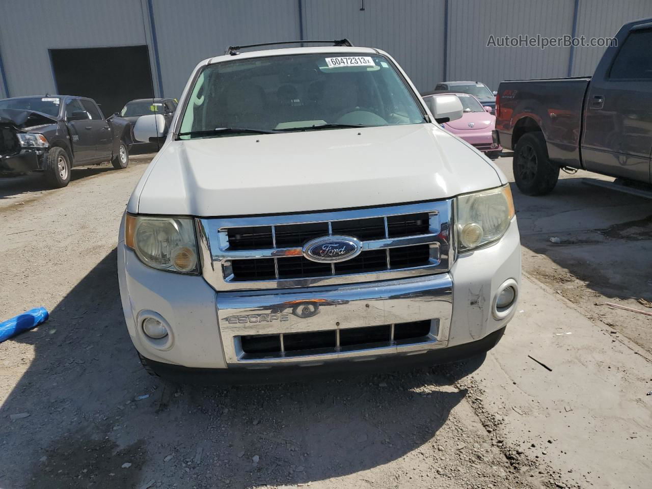 2009 Ford Escape Hybrid White vin: 1FMCU49349KA33229