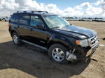 2009 Ford Escape Hybrid Black vin: 1FMCU49349KB34528