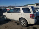 2009 Ford Escape Hybrid Белый vin: 1FMCU49349KC99138