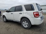 2009 Ford Escape Hybrid Белый vin: 1FMCU49389KA42788