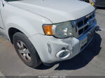 2009 Ford Escape Hybrid White vin: 1FMCU49389KA58862