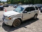 2009 Ford Escape Hybrid Белый vin: 1FMCU49389KC56289