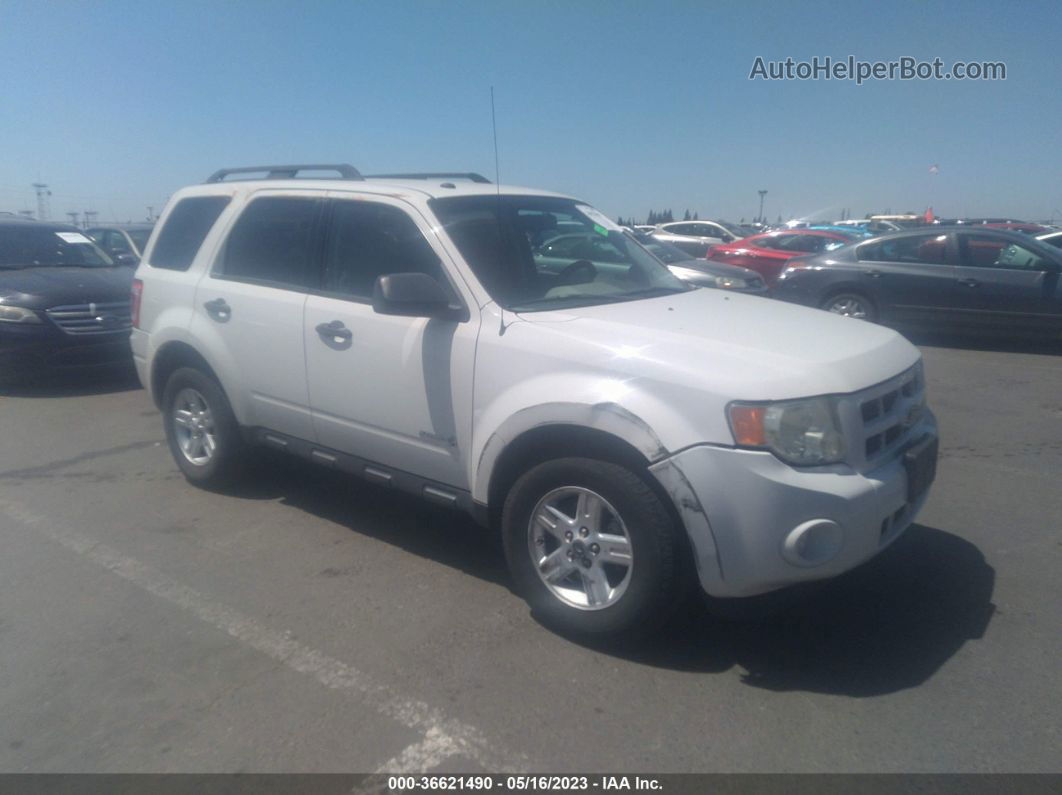 2009 Ford Escape Hybrid White vin: 1FMCU49399KA28513