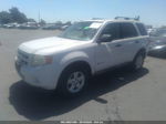 2009 Ford Escape Hybrid White vin: 1FMCU49399KA28513