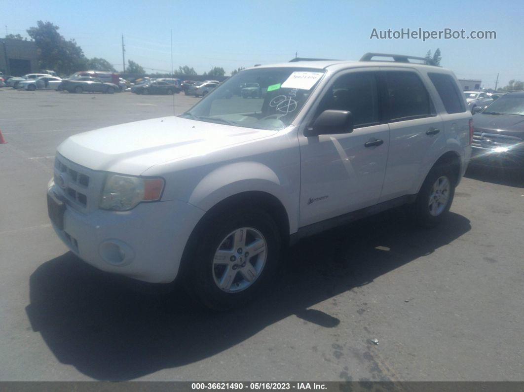 2009 Ford Escape Hybrid White vin: 1FMCU49399KA28513