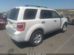 2009 Ford Escape Hybrid White vin: 1FMCU49399KA28513