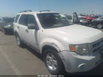 2009 Ford Escape Hybrid Белый vin: 1FMCU49399KA28513