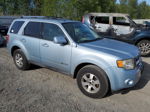 2009 Ford Escape Hybrid Blue vin: 1FMCU493X9KA14717