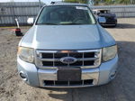 2009 Ford Escape Hybrid Синий vin: 1FMCU493X9KA14717