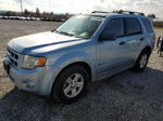 2009 Ford Escape Hybrid Blue vin: 1FMCU493X9KA42372