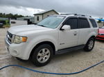 2009 Ford Escape Hybrid White vin: 1FMCU493X9KC13492