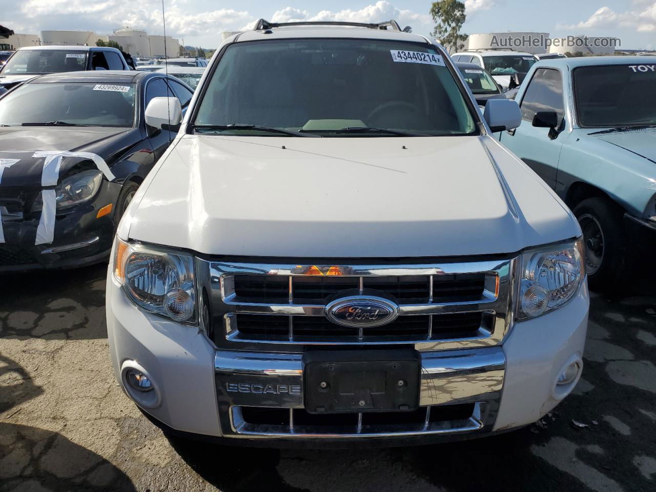 2009 Ford Escape Hybrid White vin: 1FMCU59309KA42385