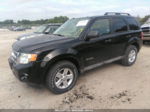 2009 Ford Escape Hybrid Черный vin: 1FMCU59309KC19467