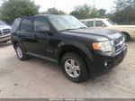 2009 Ford Escape Hybrid Black vin: 1FMCU59309KC19467