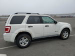 2009 Ford Escape Hybrid White vin: 1FMCU59319KC19221