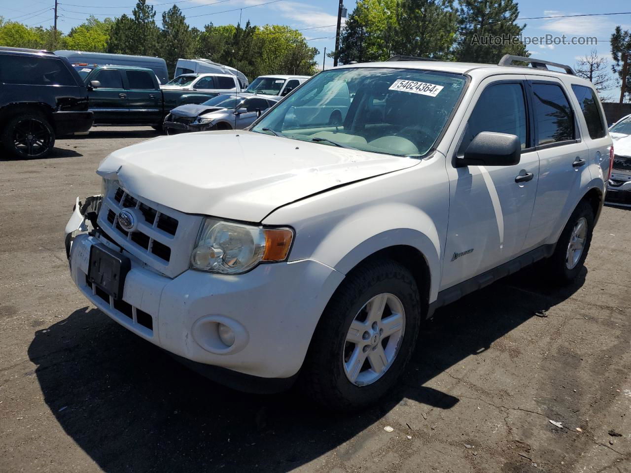 2009 Ford Escape Hybrid Белый vin: 1FMCU59329KA35616